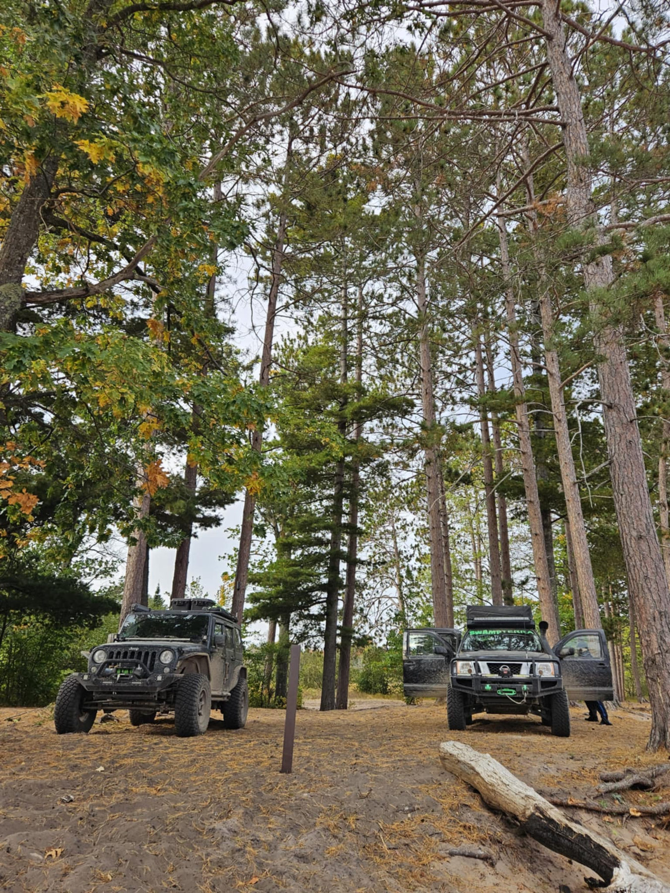 Two trucks parked among tall pines at camp